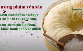 Yến Sào là thượng phẩm rất có giá trị về dinh dưỡng và dược liệu rất được yêu chuộng để bồi bổ sức khỏe